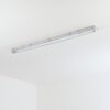 Ilena Plafonnier extérieur, Luminaire extérieur, Luminaire de salle de bain, Projecteur, Plafonnier LED Gris, 1 lumière