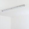 Ilena Plafonnier extérieur, Luminaire extérieur, Luminaire de salle de bain, Projecteur, Plafonnier LED Gris, 1 lumière