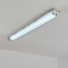 Ilena Plafonnier extérieur, Luminaire extérieur, Luminaire de salle de bain, Projecteur, Plafonnier LED Gris, 1 lumière