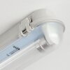 Ilena Plafonnier extérieur, Luminaire extérieur, Luminaire de salle de bain, Projecteur, Plafonnier LED Gris, 1 lumière