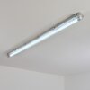 Ilena Plafonnier extérieur, Luminaire extérieur, Luminaire de salle de bain, Projecteur, Plafonnier LED Gris, 1 lumière