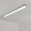 Ilena Plafonnier extérieur, Luminaire extérieur, Luminaire de salle de bain, Projecteur, Plafonnier LED Gris, 1 lumière