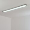 Ilena Plafonnier extérieur, Luminaire extérieur, Luminaire de salle de bain, Projecteur, Plafonnier LED Gris, 1 lumière