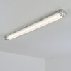 Ilena Luminaire extérieur, Luminaire de salle de bain, Plafonnier LED Gris, 1 lumière