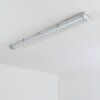 Ilena Luminaire extérieur, Luminaire de salle de bain, Plafonnier LED Gris, 1 lumière