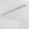 Ilena Plafonnier extérieur, Luminaire extérieur, Luminaire de salle de bain, Projecteur, Plafonnier LED Gris, 1 lumière