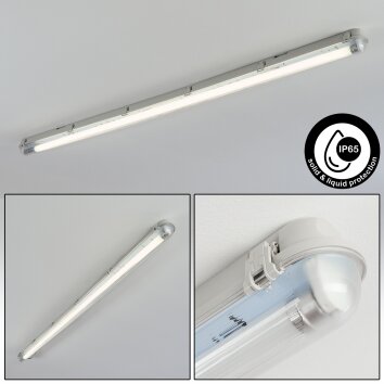 Ilena Plafonnier extérieur, Luminaire extérieur, Luminaire de salle de bain, Projecteur, Plafonnier LED Gris, 1 lumière