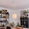 Desroches Suspension, Suspension Blanc, 1 lumière