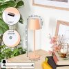 Salgadinho Lampe de table d'extérieur, Lampe à poser LED Blanc, 1 lumière