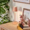 Salgadinho Lampe de table d'extérieur, Lampe à poser LED Blanc, 1 lumière
