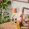 Salgadinho Lampe de table d'extérieur, Lampe à poser LED Blanc, 1 lumière