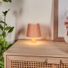 Salgadinho Lampe de table d'extérieur, Lampe à poser LED Blanc, 1 lumière