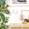 Salgadinho Lampe de table d'extérieur, Lampe à poser LED Blanc, 1 lumière