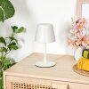 Salgadinho Lampe de table d'extérieur, Lampe à poser LED Blanc, 1 lumière