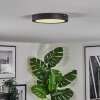 Isela Plafonnier LED Noir, 1 lumière
