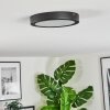 Isela Plafonnier LED Noir, 1 lumière