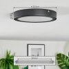 Isela Plafonnier LED Noir, 1 lumière