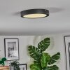 Isela Plafonnier LED Noir, 1 lumière