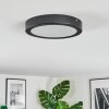 Isela Plafonnier LED Noir, 1 lumière