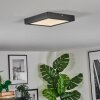 Isela Plafonnier LED Noir, 1 lumière