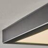 Isela Plafonnier LED Noir, 1 lumière