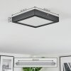 Isela Plafonnier LED Noir, 1 lumière