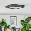 Isela Plafonnier LED Noir, 1 lumière