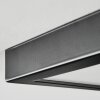 Isela Plafonnier LED Noir, 1 lumière