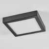 Isela Plafonnier LED Noir, 1 lumière