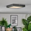 Isela Plafonnier LED Noir, 1 lumière