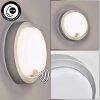 Jelad Lampe murale d´extérieur, Applique murale LED Argenté, 1 lumière, Détecteur de mouvement