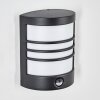 Heran Lampe murale d´extérieur, Applique murale LED Noir, 1 lumière, Détecteur de mouvement