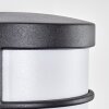 Heran Lampe murale d´extérieur, Applique murale LED Noir, 1 lumière, Détecteur de mouvement