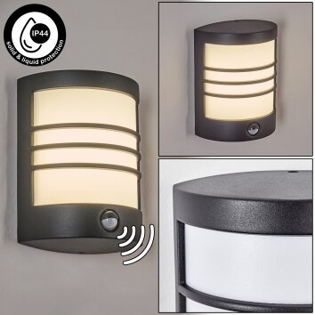 Heran Lampe murale d´extérieur, Applique murale LED Noir, 1 lumière, Détecteur de mouvement