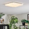Loden Plafonnier LED Blanc, 1 lumière