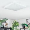 Loden Plafonnier LED Blanc, 1 lumière