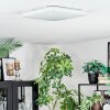 Loden Plafonnier LED Blanc, 1 lumière