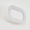 Applique murale d'extérieur  Paleroo LED Blanc, 1 lumière