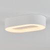 plafonnier extérieur  Paleroo LED Blanc, 1 lumière