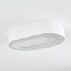 plafonnier extérieur  Paleroo LED Blanc, 1 lumière