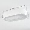 plafonnier extérieur  Paleroo LED Blanc, 1 lumière