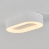 plafonnier extérieur  Paleroo LED Blanc, 1 lumière