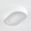 plafonnier extérieur  Paleroo LED Blanc, 1 lumière