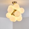 Plafonnier Hyco Nickel mat, 12 lumières