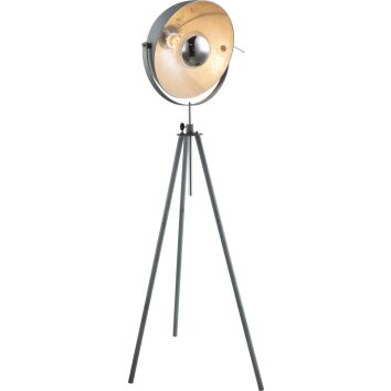 Lampadaire Globo MIRAM Gris, 1 lumière