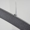 Suspension Ignal LED Noir, 1 lumière