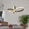 Suspension Ignal LED Noir, 1 lumière