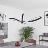 Suspension Ignal LED Noir, 1 lumière