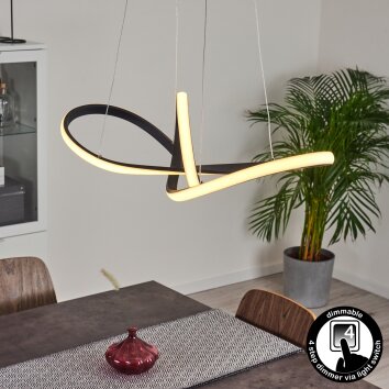 Suspension Ignal LED Noir, 1 lumière