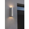 Applique murale d'extérieur Lutec Leo LED Chrome, 1 lumière